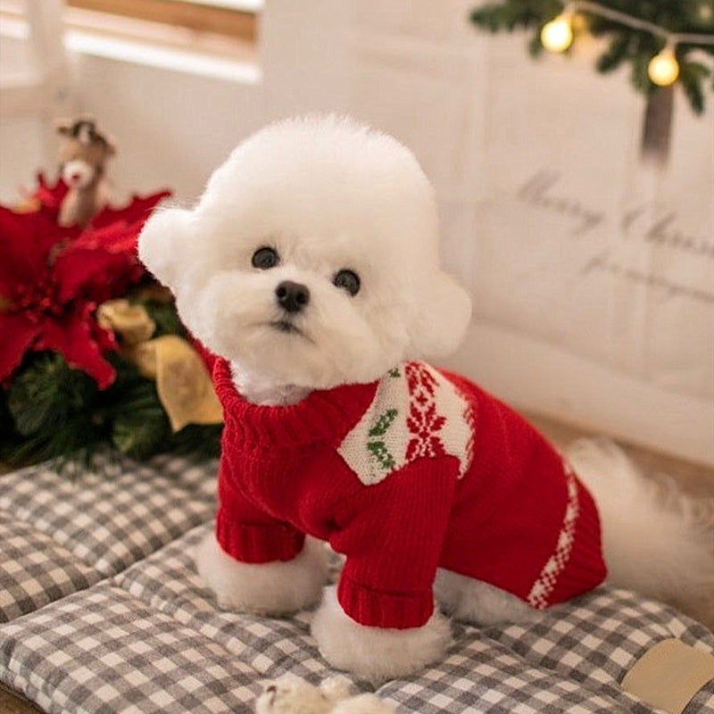 VIP Schnauzer Dog Knitted Sweater