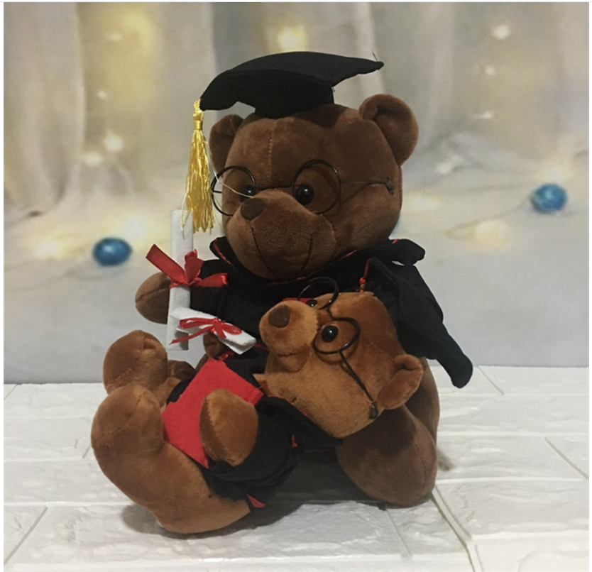 Plush Doctor Bear Toy Gift - Graduation Teddy Bear | Home Decor