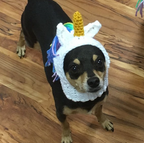"Yarn Beanie for Pets - Unicorn Design"