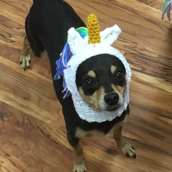 "Yarn Beanie for Pets - Unicorn Design"