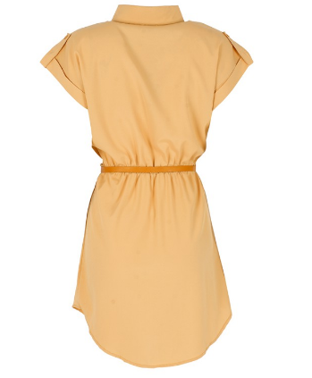 Chiffon Dress with Belt - Casual Style Dress