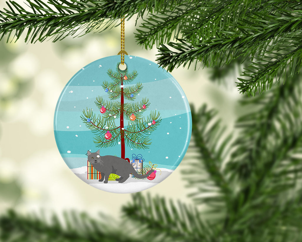Chartreux Cat Christmas Ceramic Ornament