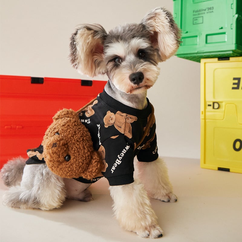 Plus Velvet Bear Sweater and Backpack for Dogs