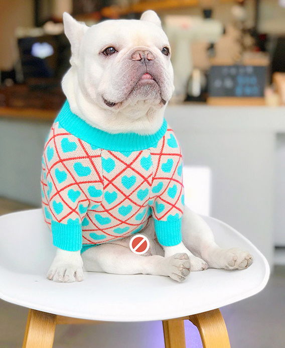 Cute Stretchy Warm Sweater for Pug Bulldog Bichon