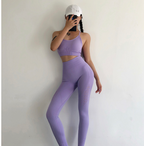 Seamless High-Waist Yoga Pants & Sports Bra Set