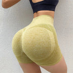 Women's High Waist Stretch Fitness Shorts