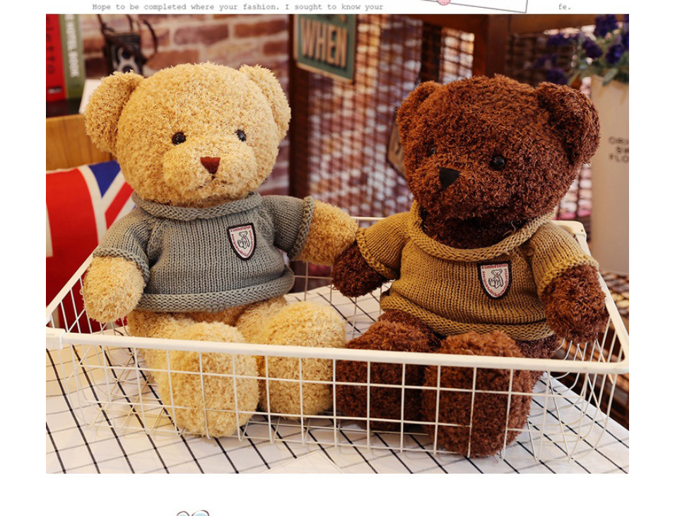 Teddy Bear Sweater Cartoon Plush Toy Doll