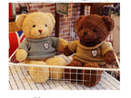 Teddy Bear Sweater Cartoon Plush Toy Doll