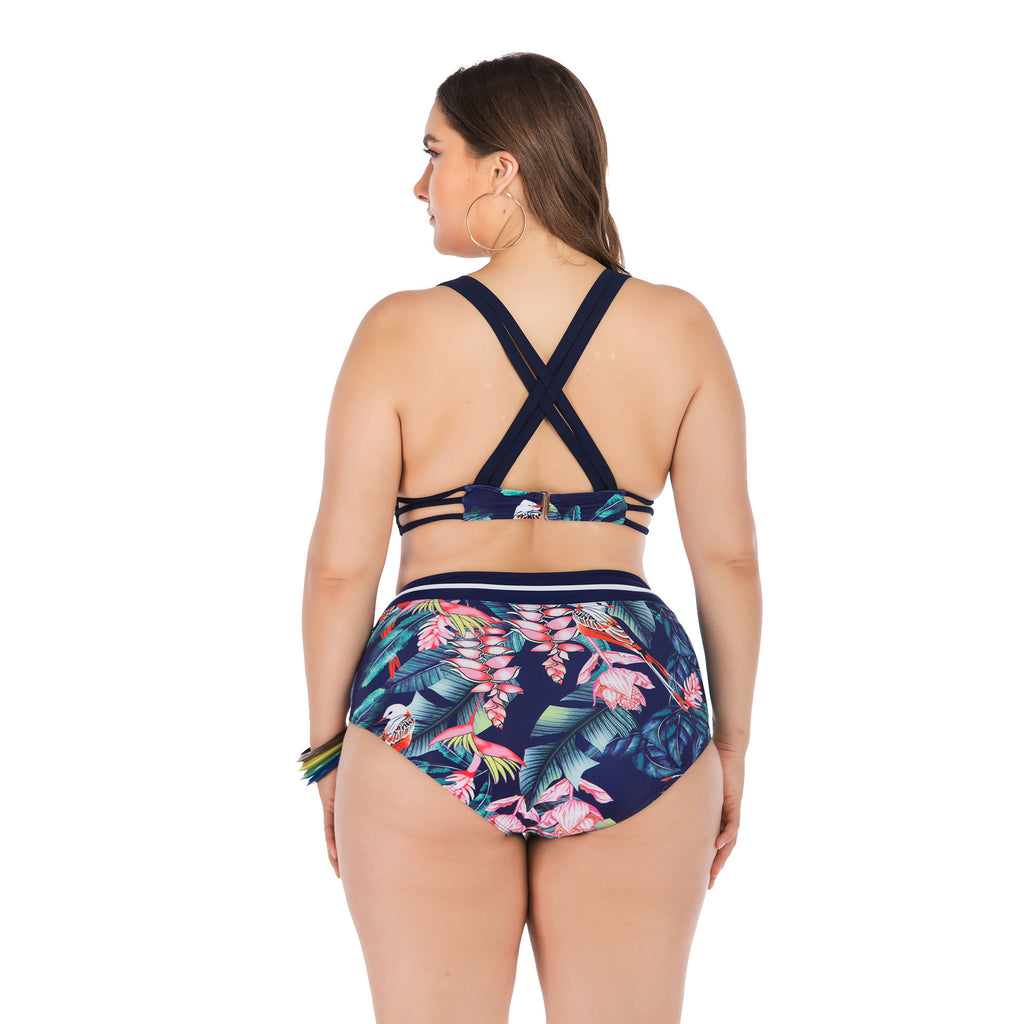 Plus Size Tropical Print High-Waist Bikini Set