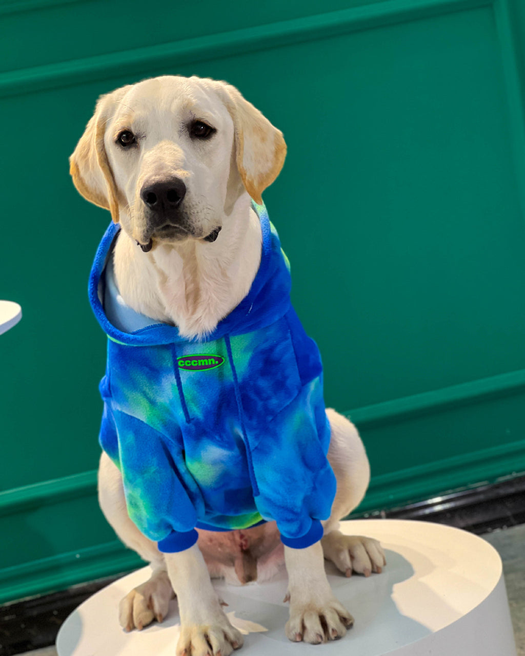 Warm Thickened Tie-Dyed Sweatshirt for Dogs