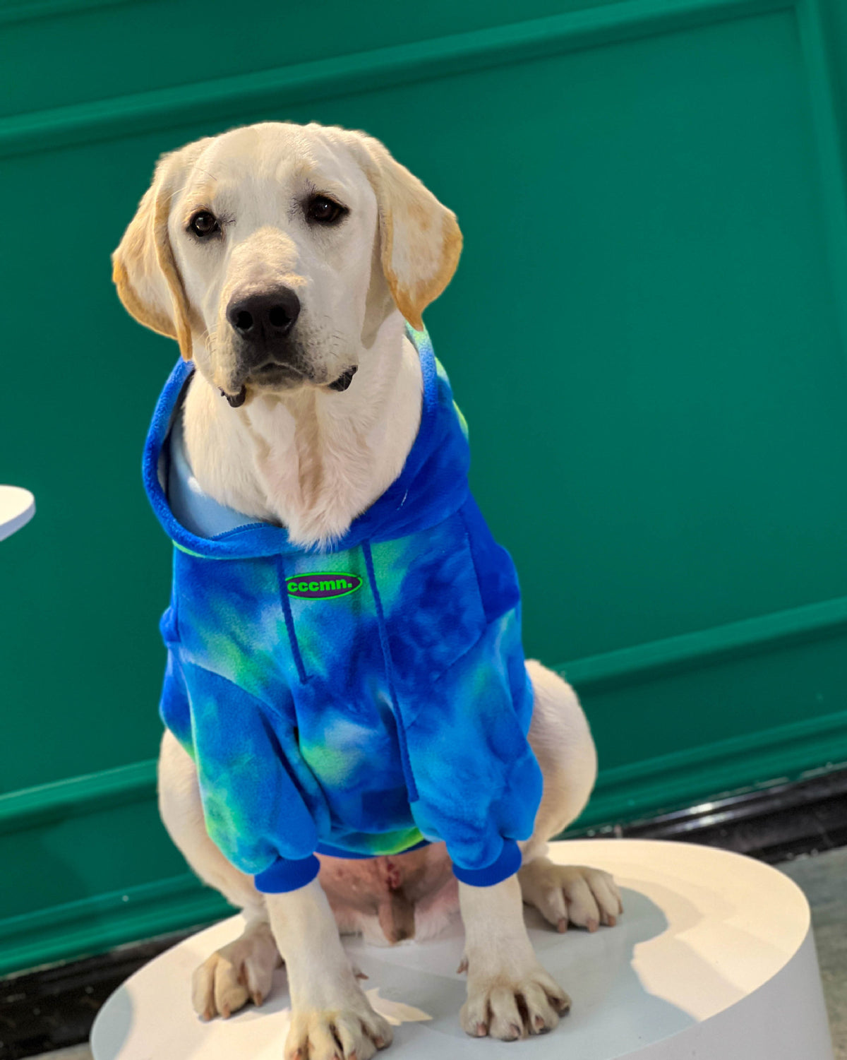Warm Thickened Tie-Dyed Sweatshirt for Dogs