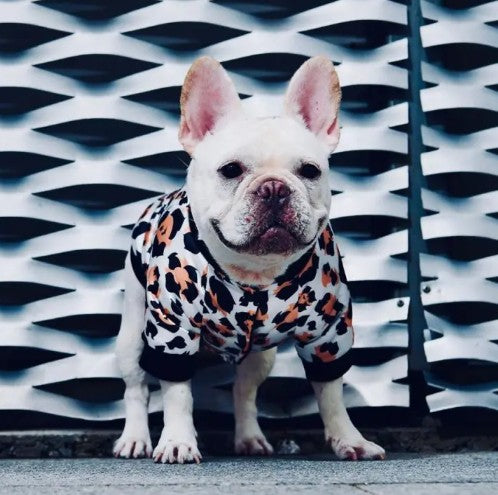 French Bulldog Winter Jacket for Small Dogs