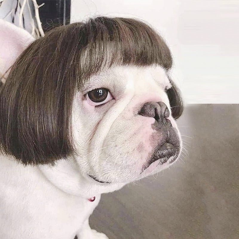 Pet Wig for Dogs and Cats, Funny Costume Curly Hair Wig with Adjustable Strap for Halloween Parties and Photos, Multiple Styles