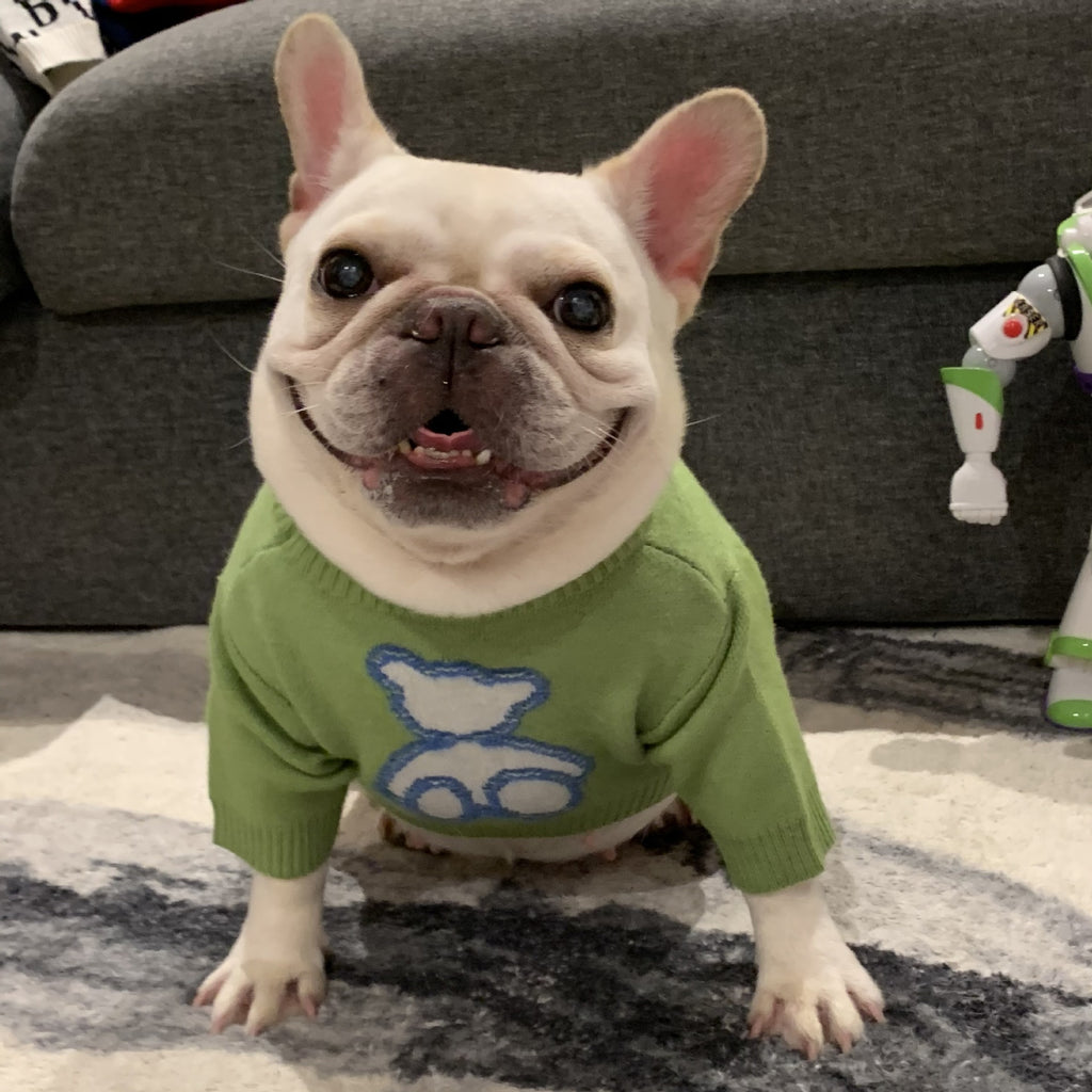 Pet Sweater for Dogs and Cats - Fall and Winter