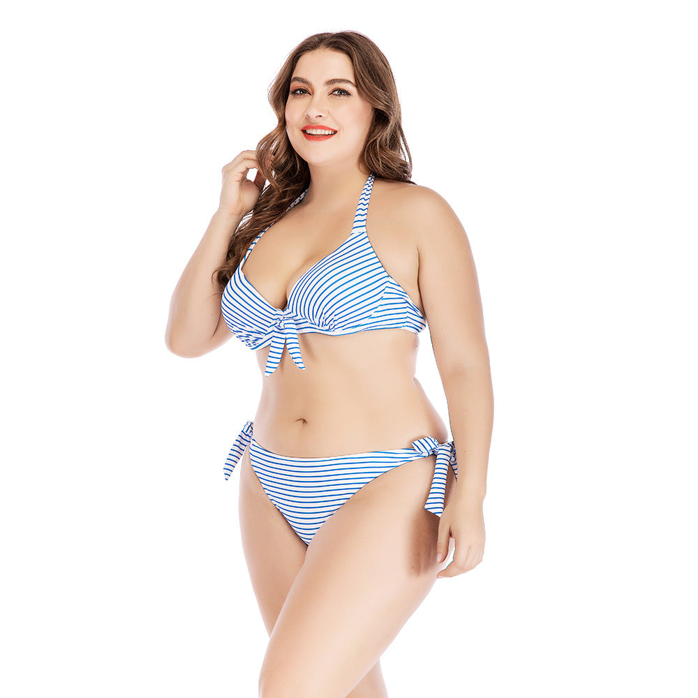 Plus Size Striped Print Bikini with Steel Support