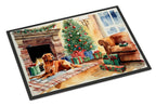 Nova Scotia Duck Tolling Retriever Cozy Christmas Doormat