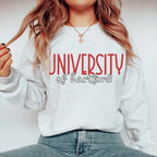 University of Hartford Crewneck Sweatshirt | Streetwear