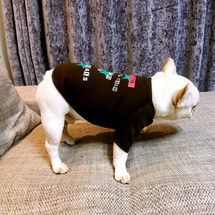 Small Dog Sweater with Velvet Print for Pets