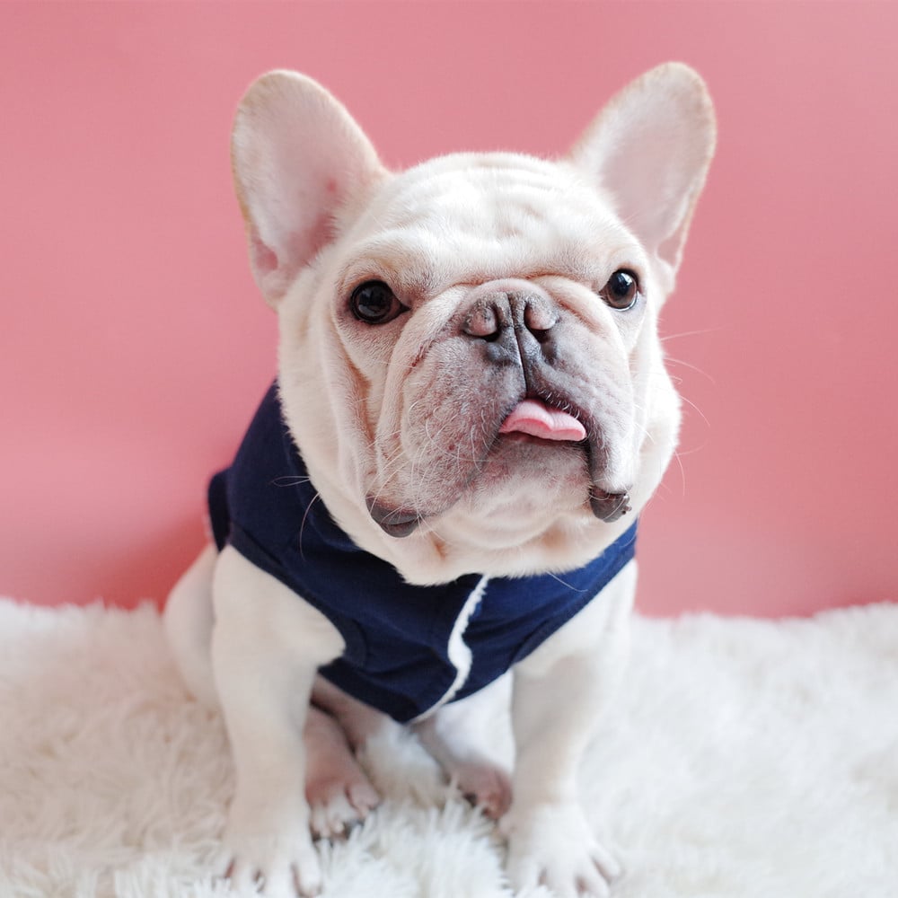 Thickened Velvet Dog Vest - Warm Winter Coat for Pets