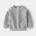 Cute Boy's Blue Grey Long Sleeve Pullover Sweatshirt | Streetwear