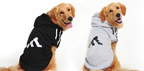Dog Apparel Spring Autumn New Teddy Hoodie Wholesale | Streetwear