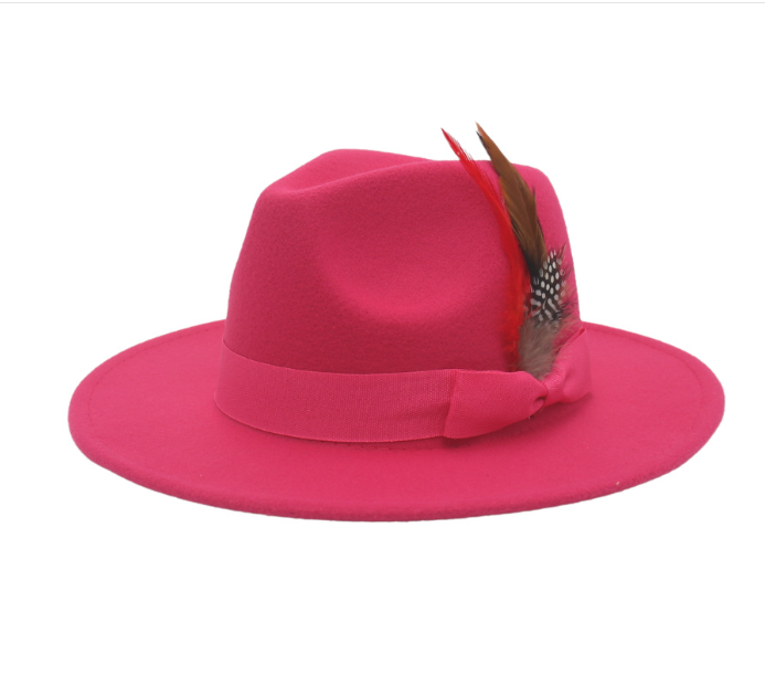 Cashmere Felt Broad-Brimmed Hat with Bow Feather | Embroidered Cap