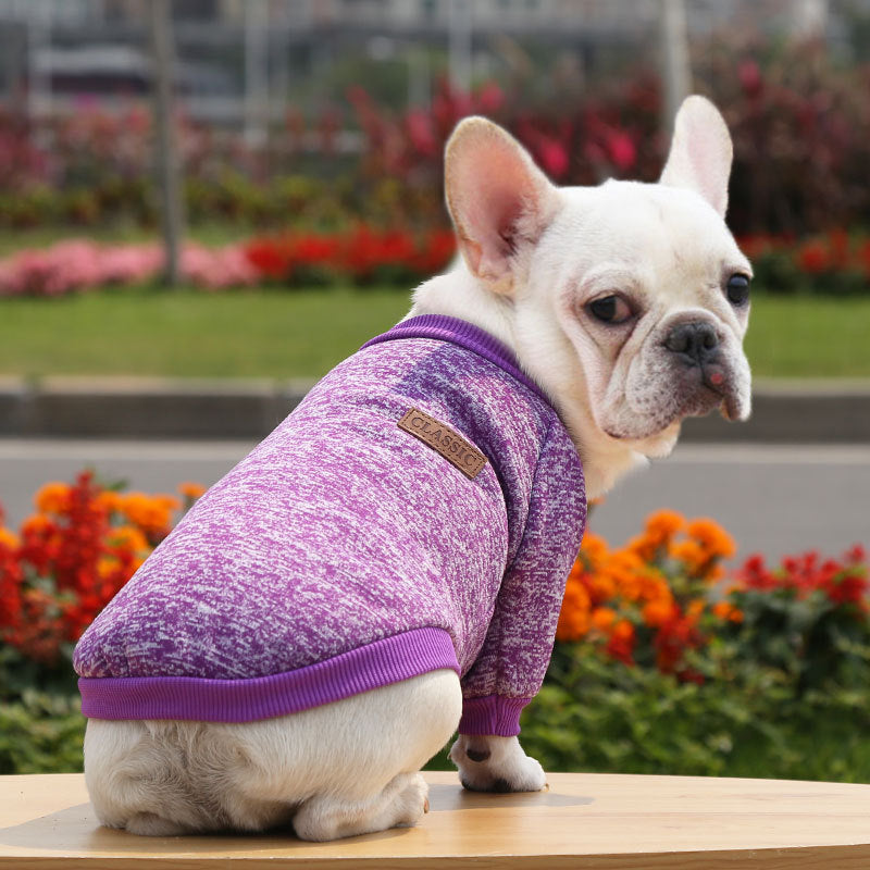 New Style Two-Legged Dog Sweater for Fall & Winter
