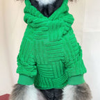 Fashionable Green Terry Hoodie for Pets