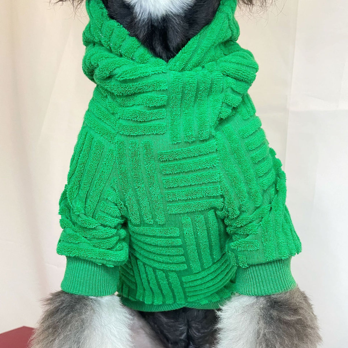 Fashionable Green Terry Hoodie for Pets