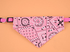 Retractable Triangle Scarf Collar for Pets