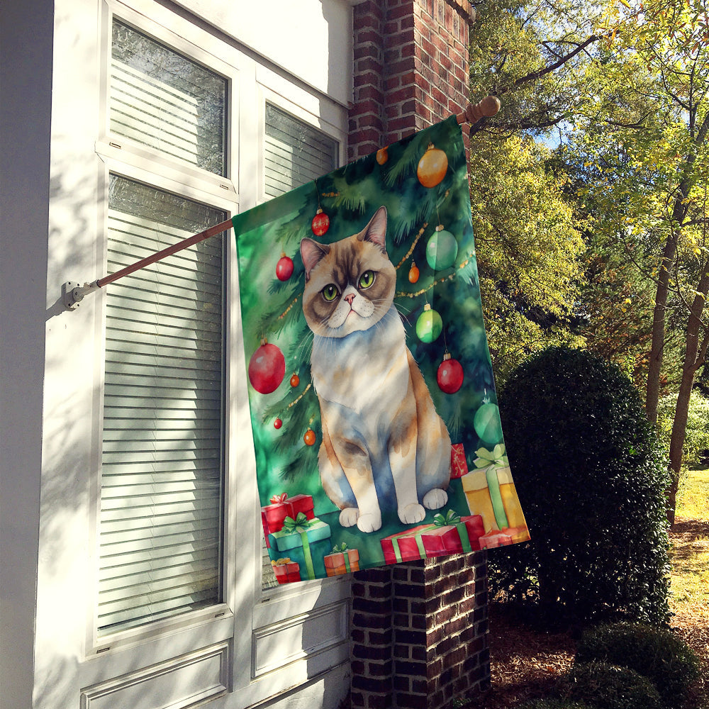 Exotic Shorthair Cat By the Christmas Tree House Flag