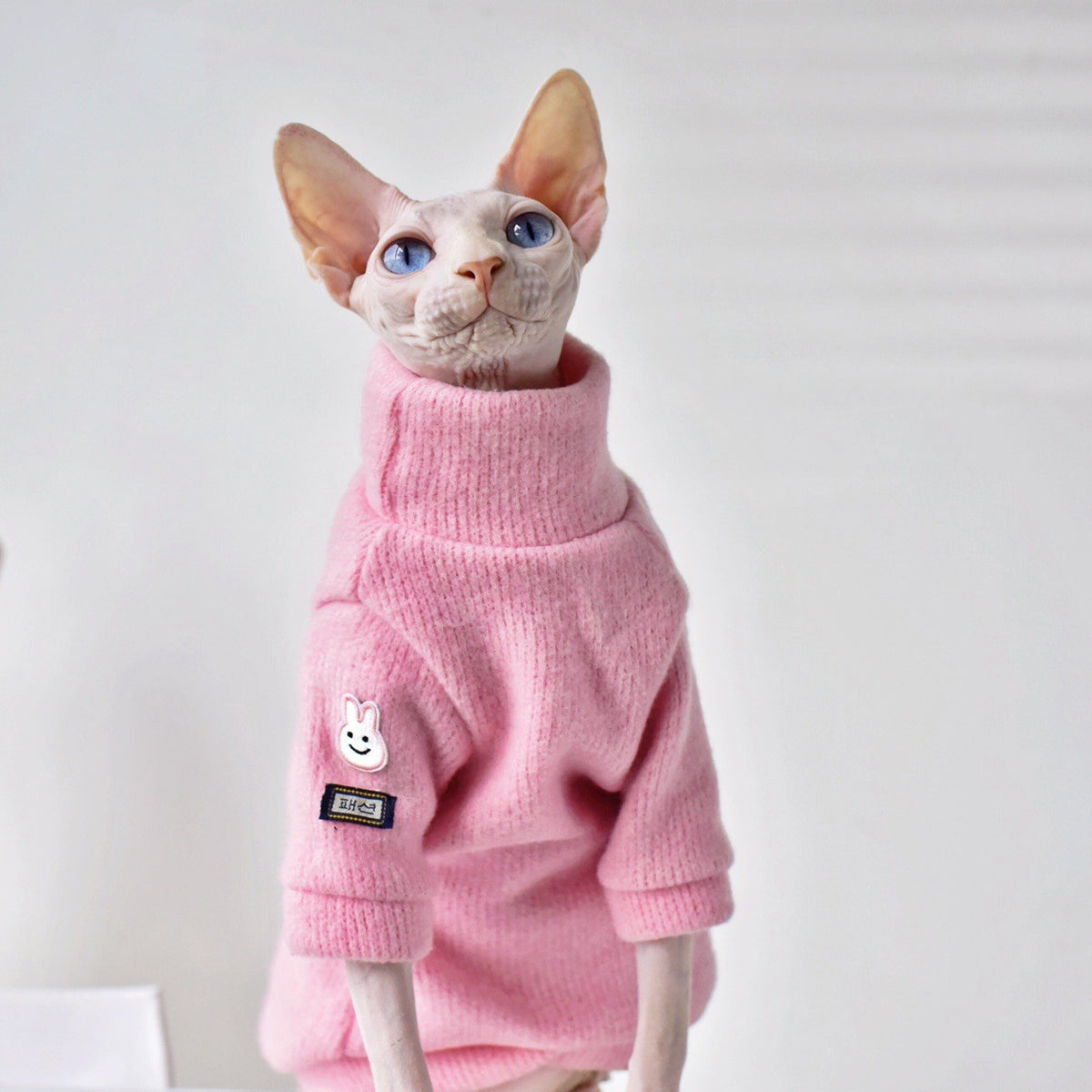 Warm Thickened Coat for Hairless Cats in Winter