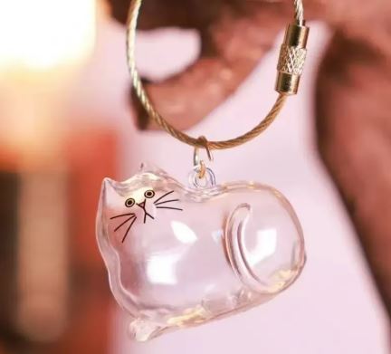 Transparent Cat Keychain Storage Capsule, Clear Kitty Pendant Bag Charm with Wire Ring for Keepsakes and Pet Hair, Gift for Cat Lovers