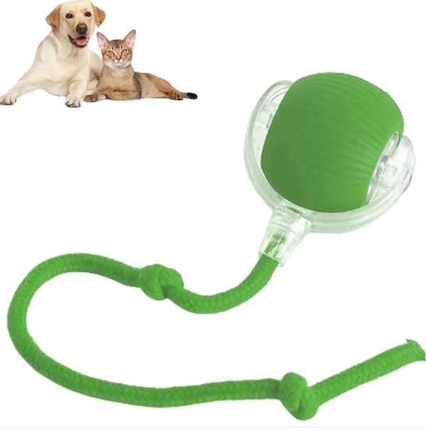 Interactive Smart Rolling Pet Ball, USB-C Rechargeable Automatic Moving Cat & Dog Toy with LED Light and Rope Tail