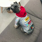 Schnauzer Puppy Coat for Fall and Winter Seasons