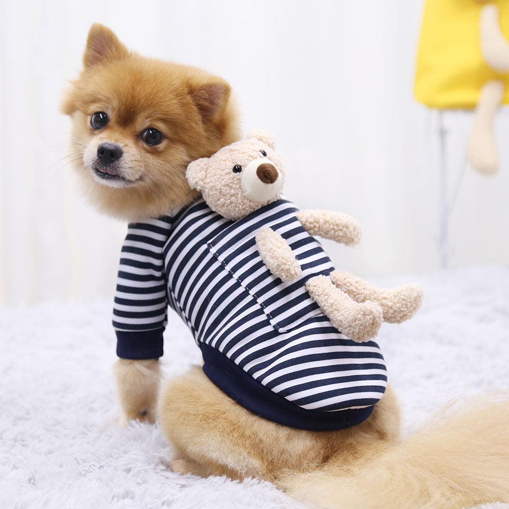 Cute Spring Sweater for Small Dogs and Cats