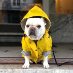 Tide Brand Retro Padded Dog Raincoat Jacket