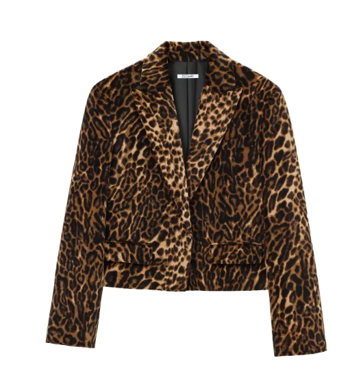 Coat Suit