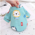 Teddy Biped Fleece Print Sweatshirt Dress
