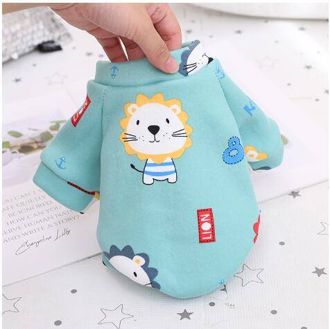 Teddy Biped Fleece Print Sweatshirt Dress