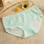 Women’s Striped Bow Cotton Panties
