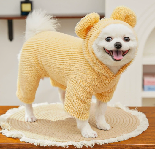 Small Dog Sweater