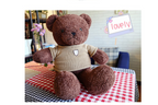 Teddy Bear Sweater Cartoon Plush Toy Doll