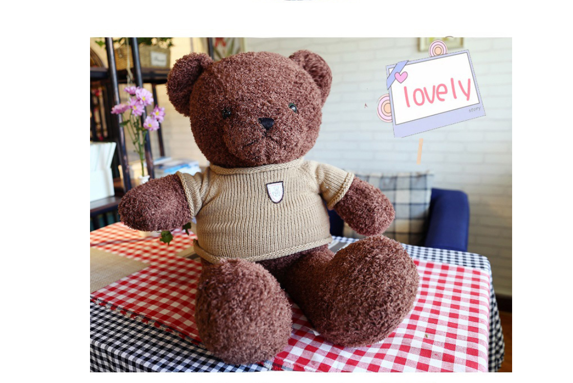 Teddy Bear Sweater Cartoon Plush Toy Doll