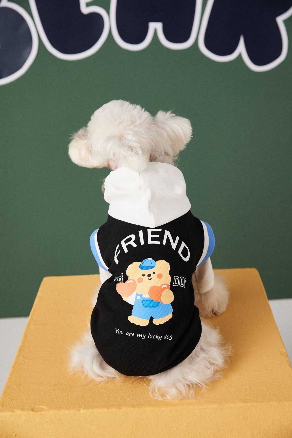 Contrast Color Two-Piece Pet Sweater Fashion Stitching