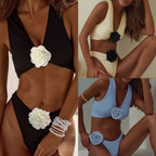 Solid Color Women's Two-Piece Bikini 2024 New Style