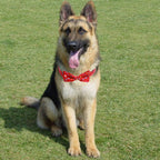 Large Dog Bow for Christmas Pet Collar