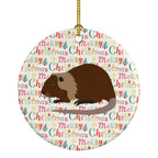 Coypu Nutria River Rat Christmas Ceramic Ornament