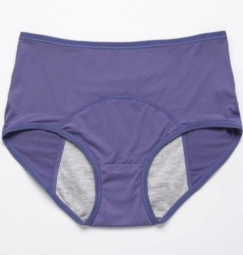 High-Waisted Leak-Proof Protective Panties (Single)
