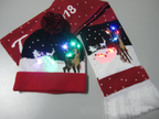 Scarf and Hat Set with LED and Reindeer Design | Embroidered Cap